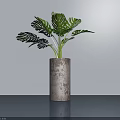 Monstera Potted Plant With Rustic Cylindrical Textured Pot On Smooth Surface Light Background