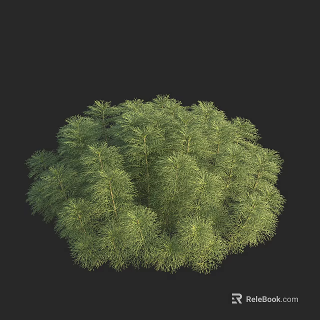 Lush Aquatic Plants With Feathery Green Leaves In Round Clump Growth 3d model 