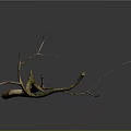Natural Wood Branch With Mossy Texture For Rustic Home Decoration