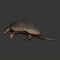 Realistic Armadillo With Scaly Armor Shell Detailed Body Structure And Standing Posture 3d model
