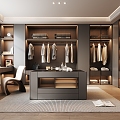 Light Luxury Cloakroom 3d model