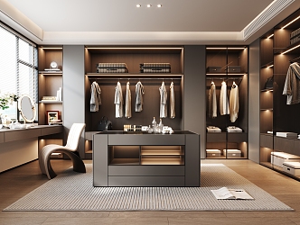 Light Luxury Cloakroom 3d model