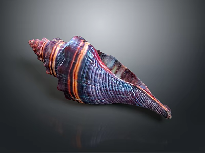 Vibrant Conch With Colorful Striped Spiral Shell And Natural Patterns On Dark Background 3d model