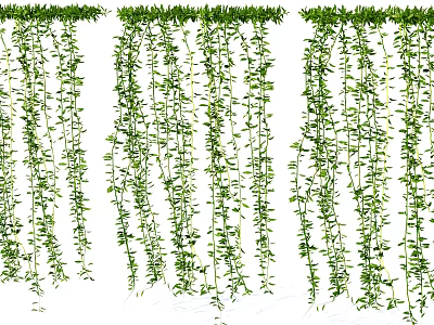 Green Hanging Vines Decorative Plants for Home Wall and Garden Decoration Ideas 3d model