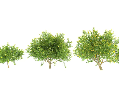 Three Different Sizes Of Lush Green Trees With Fresh Leaves For Landscaping 3d model