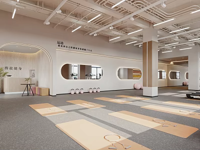 Modern Fitness Studio Interior With Yoga Mats Exercise Balls And Spacious Layout 3d model