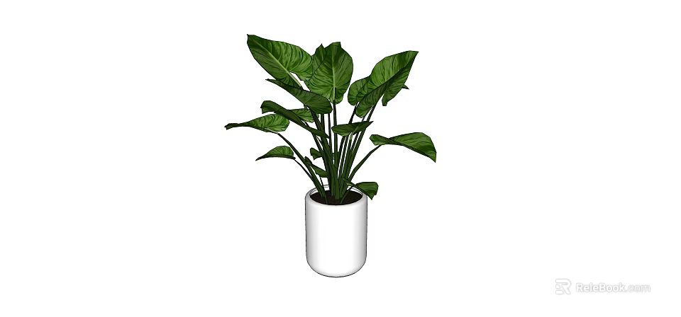 Fresh Potted Plant With Large Green Leaves In White Ceramic Pot 3d model 