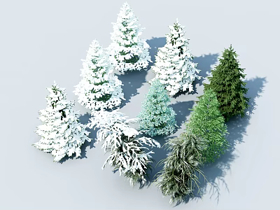 Various Arbor Trees Featuring Snow Covered and Green Foliage in Natural Landscape 3d model