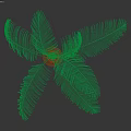 Tall Palm Tree With Striped Trunk And Feathery Green Fronds