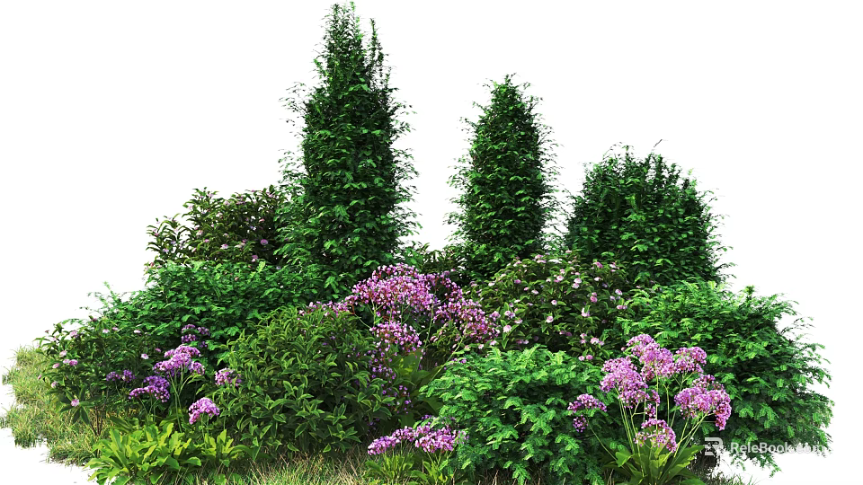 Tall and Low Growing Shrubs With Purple Flowers and Green Foliage in Garden 3d model 