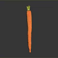 Fresh Whole Orange Carrot With Green Top Isolated On Dark Background