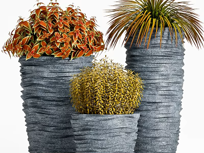 Decorative Bonsai Potted Plants With Red Orange Yellow Foliage And Textured Gray Pots 3d model