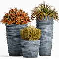 Decorative Bonsai Potted Plants With Red Orange Yellow Foliage And Textured Gray Pots
