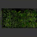 Architectural Curved Vertical Living Wall With Lush Green Plant Foliage Design
