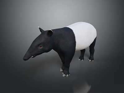 Game And Movie Character Tapir With Black And White Body Long Snout Standing Pose 3d model