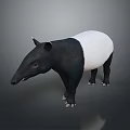 Game And Movie Character Tapir With Black And White Body Long Snout Standing Pose