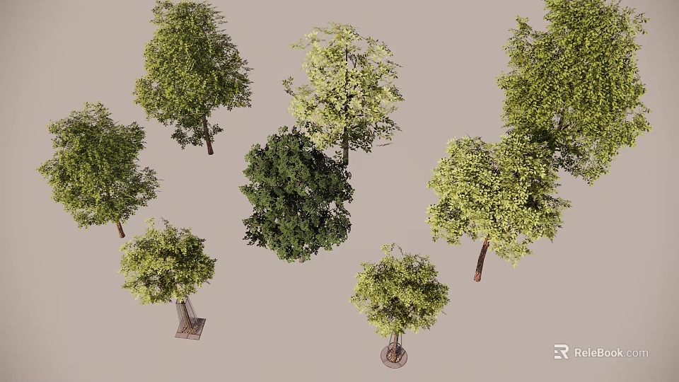 Different Varieties of Arbor Trees With Various Leaf Shapes And Heights 3d model 