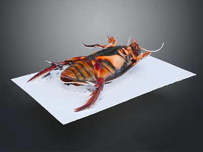 Detailed View Of Cockroach With Red And Black Body On White Paper Dark Background 3d model