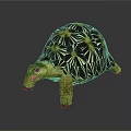 Vibrant Star Patterned Tortoise With Yellow Black Shell And Tongue Out On Gray Background