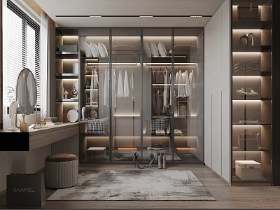 Modern Walk In Closet With Glass Doors Vanity And Storage 3d model