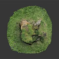 Round Green Grass Area With Wooden Stump And Stone Features Covered In Moss