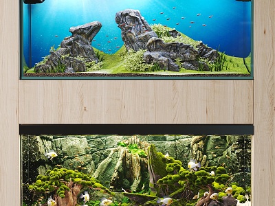 Embedded fish tank aquarium landscaping 3d model