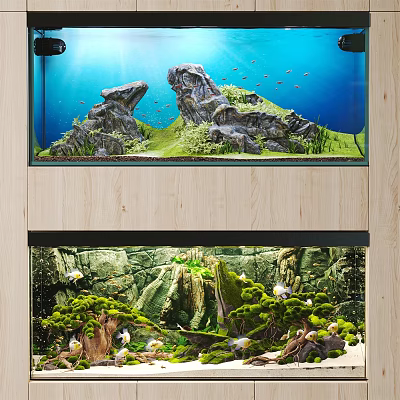 Two Layered Aquariums With Rocks Plants And Fishes 3d model