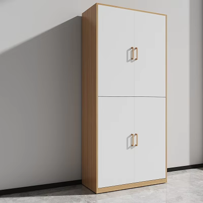 Modern Contemporary Bookcase With White Doors Wooden Frame And Metal Handles 3d model