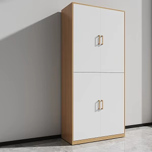 Bookcase File Cabinet Storage Cabinet High Cabinet 3d model