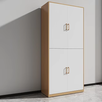 Bookcase File Cabinet Storage Cabinet High Cabinet 3d model