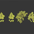 Snow Covered Plant Branches on White Background in Winter Nature Scene