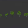 Green Plants of Various Sizes and Shapes Against Gray Gradient Background