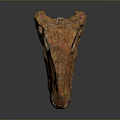 Orange Brown Dinosaur Skull Fossil With Sharp Teeth And Textured Surface 3d model