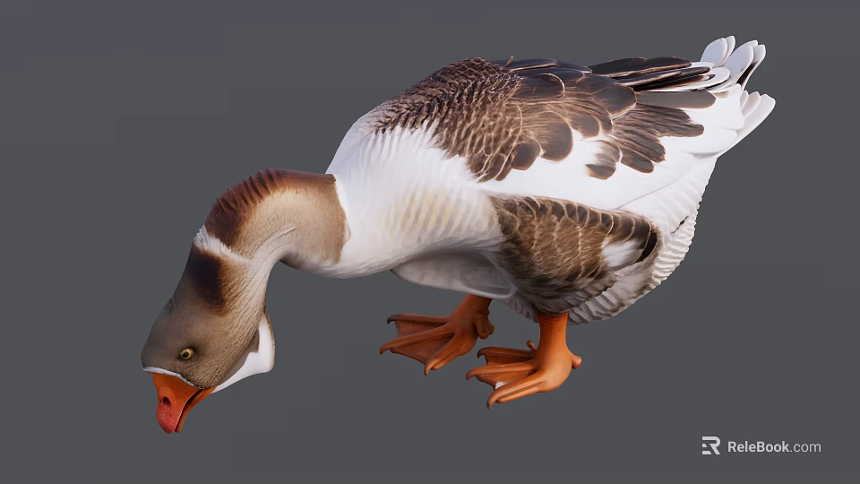Duck With Brown White Feathers Bending Head And Orange Webbed Feet On Gray Background 3d model 