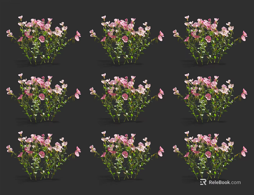 Pink Flowering Plants With Green Stems Arranged In Rows On Black Background 3d model 