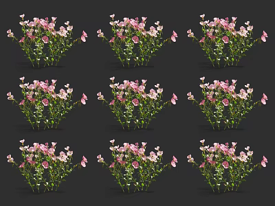 Pink Flowering Plants With Green Stems Arranged In Rows On Black Background 3d model