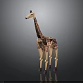 Giraffe Toy Model With Beige Body Pink Spots And Purple Feet Standing On Dark Background