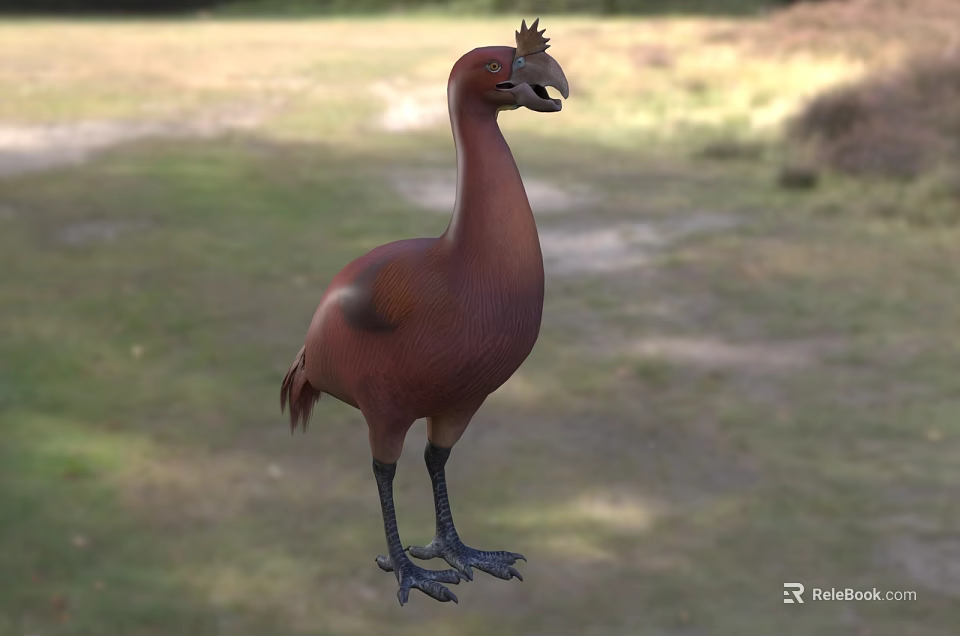 Red Crested Flying Bird Standing On Grassy Field With Natural Surroundings 3d model 