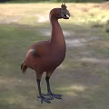 Red Crested Flying Bird Standing On Grassy Field With Natural Surroundings