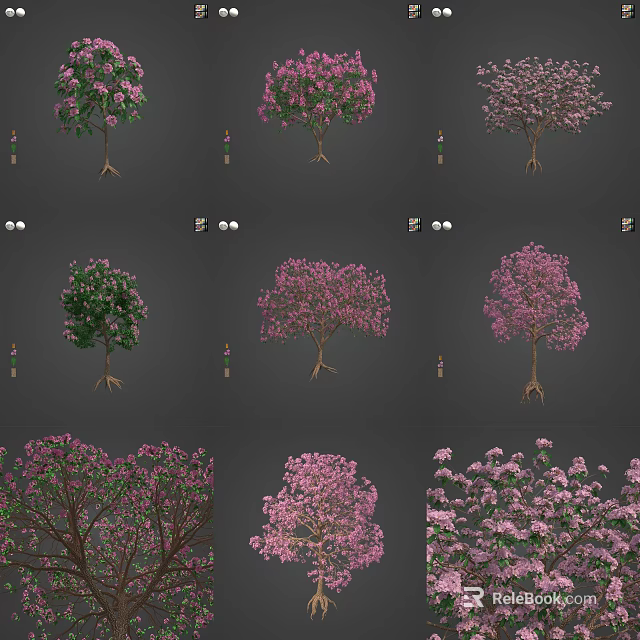 Various Types of Flowering Trees with Pink Blossoms and Green Foliage in Garden Landscaping Collection 3d model 