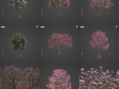 Various Types of Flowering Trees with Pink Blossoms and Green Foliage in Garden Landscaping Collection 3d model