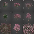 Various Types of Flowering Trees with Pink Blossoms and Green Foliage in Garden Landscaping Collection