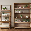 Wooden Ladder And Multi Tiered Shelves With Potted Plants On Wooden Floor
