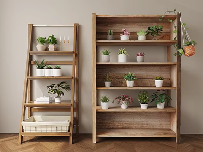 Wooden Ladder And Multi Tiered Shelves With Potted Plants On Wooden Floor 3d model
