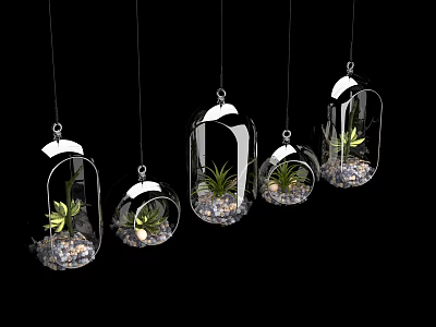 Stylish Hanging Glass Planters With Small Succulents And Decorative Pebbles 3d model