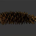 Natural Brown Pine Cone With Detailed Texture On Gray Background And Reflection 3d model