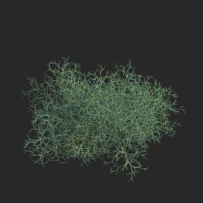 Modern Hexi Chrysanthemum Grass 3d model
