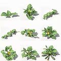 Organic Vegetable Plants Showcasing Vibrant Green Leaves And Yellow Flowers