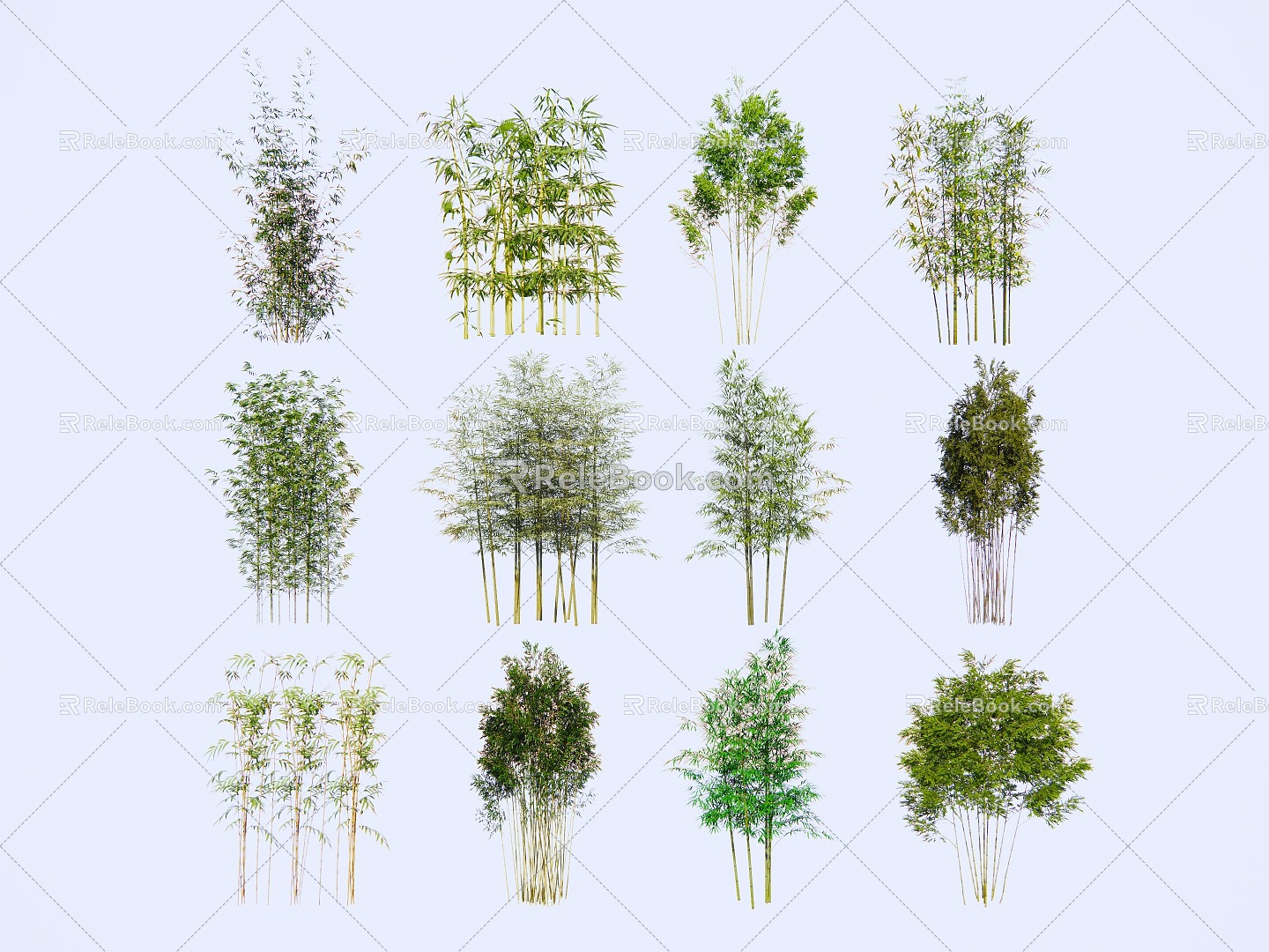 Bamboo Landscape Plants Purple Bamboo Luohan Bamboo Moso Bamboo Green Bamboo Forest Green Planting Landscape Bamboo 3d model