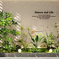 Indoor Landscape Featuring Nature and Life Theme With Various Green Plants and Decorative Wall Design